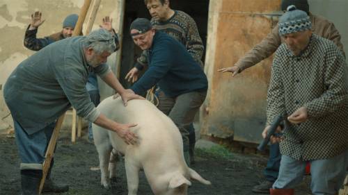 Our Lovely Pig Slaughter (trailer)